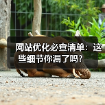 网站优化必查清单：这些细节你漏了吗？（图2）