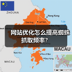 网站优化怎么提高蜘蛛抓取频率？（图1）