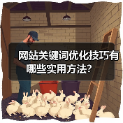 网站关键词优化技巧有哪些实用方法？（图4）