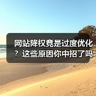 网站降权竟是过度优化？这些原因你中招了吗？（图3）