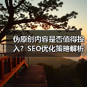 伪原创内容是否值得投入?SEO优化策略解析(图2) 伪原创内容是否值得投入?SEO优化策略解析(图2)