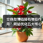 交换友情链接有哪些作用？网站优化五大核心价值解析（图2）