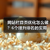 网站栏目页优化怎么做？6个提升排名的实用技巧（图3）