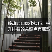 移动端口优化技巧：提升排名的关键点有哪些？（图1）