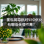 面包屑导航对SEO优化有哪些关键作用？（图2）