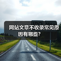 网站文章不收录常见原因有哪些？（图2）
