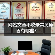网站文章不收录常见原因有哪些？（图4）