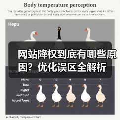 网站降权到底有哪些原因？优化误区全解析（图2）