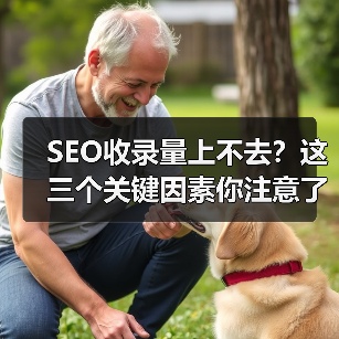 SEO收录量上不去？这三个关键因素你注意了吗（图4）