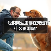 浅谈网站里存在死链有什么影响呢?（图2）