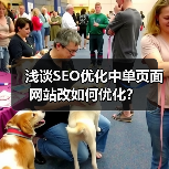 浅谈SEO优化中单页面网站改如何优化？（图3）