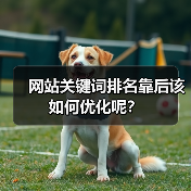 网站关键词排名靠后该如何优化呢？（图1）