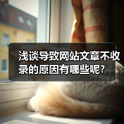 浅谈导致网站文章不收录的原因有哪些呢?(图4) 浅谈导致网站文章不收录的原因有哪些呢?(图4)