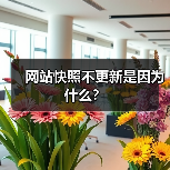 网站快照不更新是因为什么？（图2）