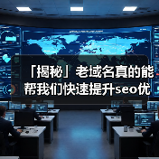 「揭秘」老域名真的能帮我们快速提升seo优化效果吗?(图4) 「揭秘」老域名真的能帮我们快速提升seo优化效果吗?(图4)
