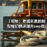 「揭秘」老域名真的能帮我们快速提升seo优化效果吗?(图2) 「揭秘」老域名真的能帮我们快速提升seo优化效果吗?(图2)
