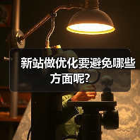 新站做优化要避免哪些方面呢?(图4) 新站做优化要避免哪些方面呢?(图4)