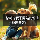 移动时代下网站的价值还剩多少？（图2）