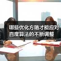 哪些优化方略才能应对百度算法的不断调整(图1) 哪些优化方略才能应对百度算法的不断调整(图1)