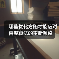 哪些优化方略才能应对百度算法的不断调整(图2) 哪些优化方略才能应对百度算法的不断调整(图2)