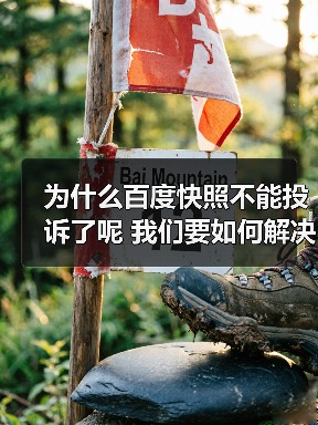 为什么百度快照不能投诉了呢 我们要如何解决(图4) 为什么百度快照不能投诉了呢 我们要如何解决(图4)