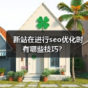 新站在进行seo优化时有哪些技巧?(图4) 新站在进行seo优化时有哪些技巧?(图4)