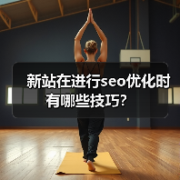 新站在进行seo优化时有哪些技巧?(图1) 新站在进行seo优化时有哪些技巧?(图1)