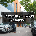 新站在进行seo优化时有哪些技巧?(图2) 新站在进行seo优化时有哪些技巧?(图2)