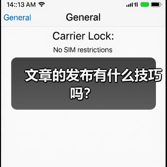 文章的发布有什么技巧吗?(图2) 文章的发布有什么技巧吗?(图2)