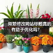频繁修改网站标题真的有助于优化吗?(图1) 频繁修改网站标题真的有助于优化吗?(图1)