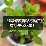 频繁修改网站标题真的有助于优化吗?(图4) 频繁修改网站标题真的有助于优化吗?(图4)