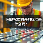 网站权重的评判标准是什么呢？（图1）