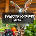 探析网站优化过度现象有哪些?(图4) 探析网站优化过度现象有哪些?(图4)