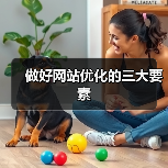 做好网站优化的三大要素（图1）