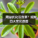 网站优化没效果?揭秘四大常见原因(图1) 网站优化没效果?揭秘四大常见原因(图1)