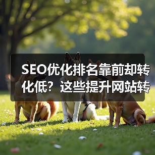 SEO优化排名靠前却转化低?这些提升网站转化率方法要掌握(图1) SEO优化排名靠前却转化低?这些提升网站转化率方法要掌握(图1)