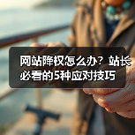 网站降权怎么办？站长必看的5种应对技巧（图2）