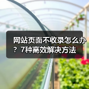 网站页面不收录怎么办?7种高效解决方法(图1) 网站页面不收录怎么办?7种高效解决方法(图1)