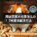 网站页面不收录怎么办?7种高效解决方法(图3) 网站页面不收录怎么办?7种高效解决方法(图3)