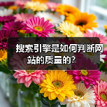 搜索引擎是如何判断网站的质量的?(图3) 搜索引擎是如何判断网站的质量的?(图3)