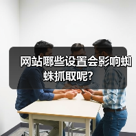 网站哪些设置会影响蜘蛛抓取呢?(图4) 网站哪些设置会影响蜘蛛抓取呢?(图4)