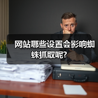 网站哪些设置会影响蜘蛛抓取呢?(图3) 网站哪些设置会影响蜘蛛抓取呢?(图3)