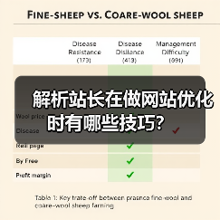 解析站长在做网站优化时有哪些技巧?(图3) 解析站长在做网站优化时有哪些技巧?(图3)