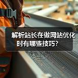 解析站长在做网站优化时有哪些技巧?(图2) 解析站长在做网站优化时有哪些技巧?(图2)