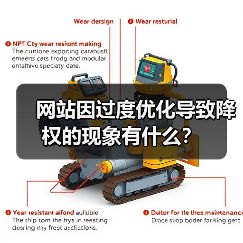 网站因过度优化导致降权的现象有什么?(图2) 网站因过度优化导致降权的现象有什么?(图2)