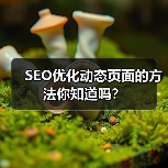 SEO优化动态页面的方法你知道吗?(图4) SEO优化动态页面的方法你知道吗?(图4)