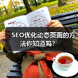 SEO优化动态页面的方法你知道吗?(图1) SEO优化动态页面的方法你知道吗?(图1)