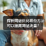 探析网站优化哪些方法可以提高网站流量?(图1) 探析网站优化哪些方法可以提高网站流量?(图1)