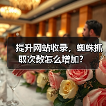 提升网站收录,蜘蛛抓取次数怎么增加?(图4) 提升网站收录,蜘蛛抓取次数怎么增加?(图4)