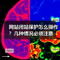 网站闭站保护怎么操作？几种情况必须注意（图4）